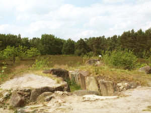 Oldendorfer Totenstatt