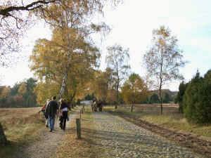 Im Naturschutzpark Lneburger Heide