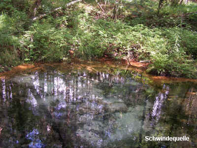 Die Schwindequelle nahe Schwindebeck